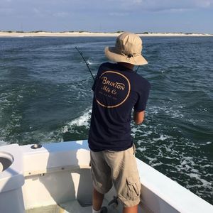 Meet your Posher, Tyler